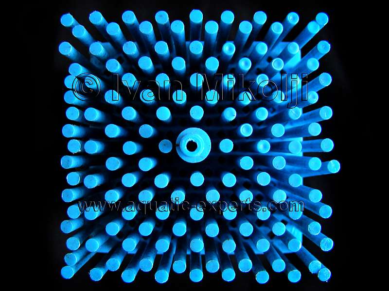 FILTROS HUMEDO/SECO PARA PECERAS